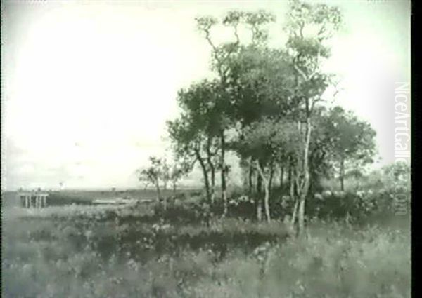 Duck Hunting - view 1