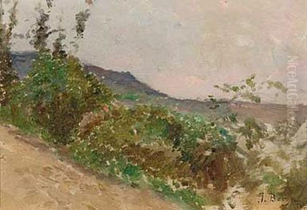 Paisaje - view 1