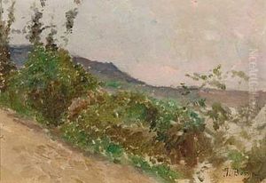 Paisaje by Jose Berga Boix