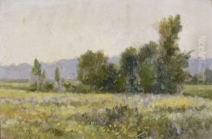 Paisaje Olotino. by Jose Berga Boix