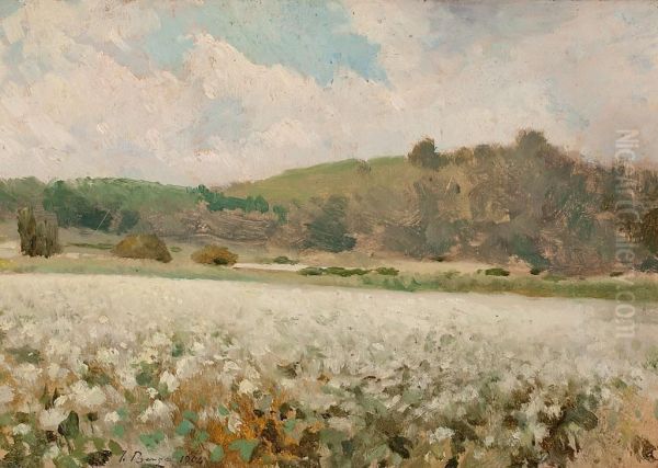 Paisajes - view 1