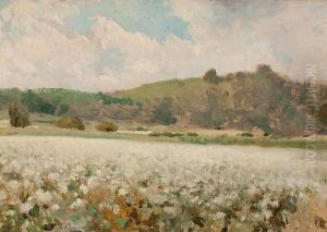Paisajes