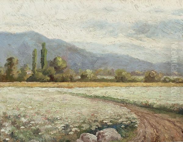 Paisaje - view 1