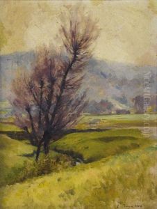 Paisaje Paisaje