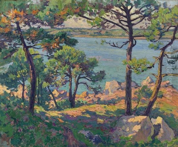 Pins Sur L''estuaire Du Trieux - view 1
