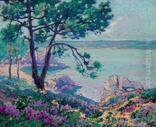 Paysage Mediterraneen - view 1