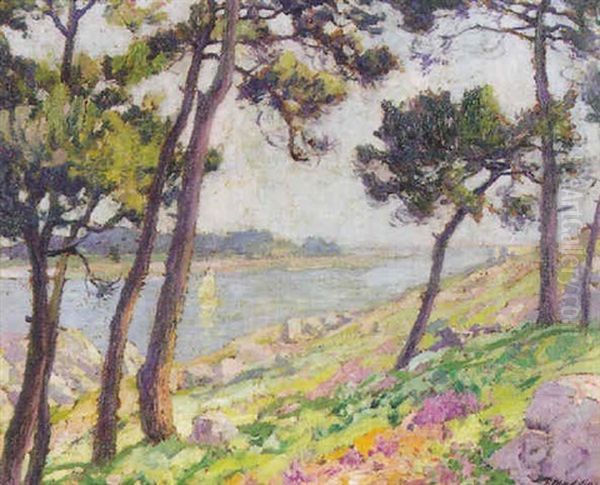 Fin D'ete Sur La Baie De Douarnenez - view 1