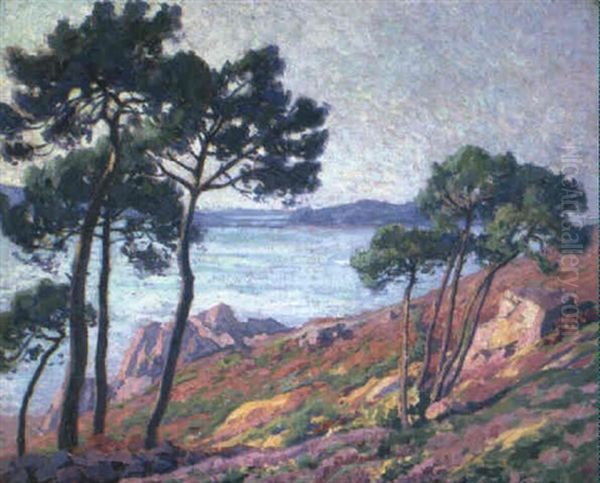 Pins Au Bord De La Mer - view 1