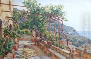 La Maison Bastiani, La Treille (rogliano)(cap Corse) La Maison Bastiani, La Treille (rogliano)(cap Corse)