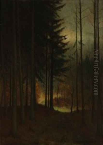 Forest In Moonlight - view 1