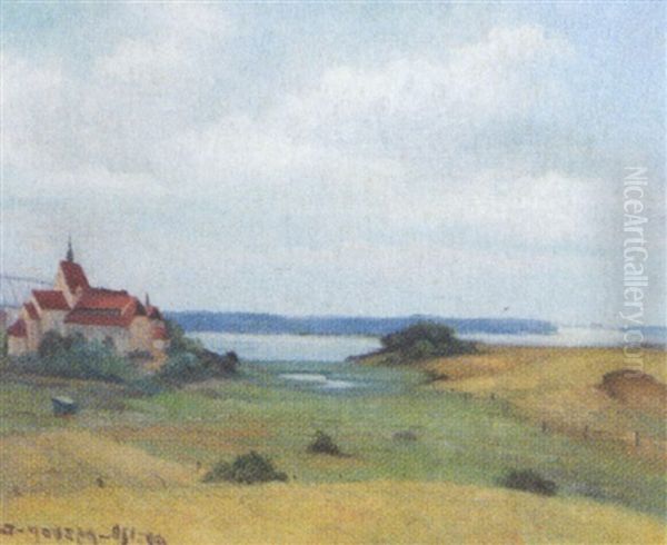 Parti Fra Snoghoj - view 1