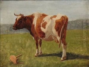 A Cow In The Field A Cow In The Field