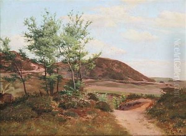 Moor Landscape From Ry, Denmark - view 1