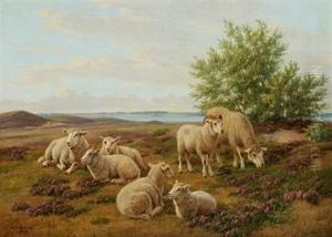 Sheep In The Field With Flowering Heather by Andreas Peter Madsen