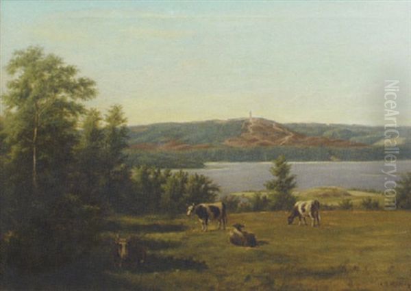 Landskab Ved Himmelbjerget - view 1
