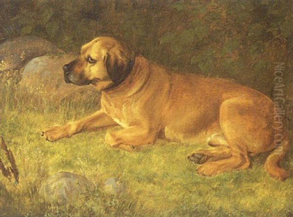 Liggende Hund - view 1