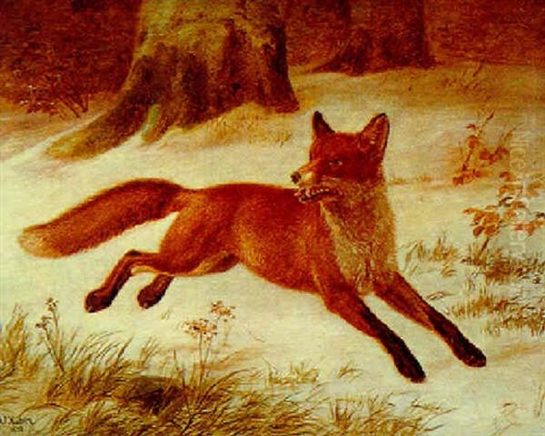 Fuchs - view 1
