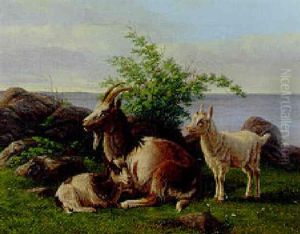 Goats On A Rocky Cliff