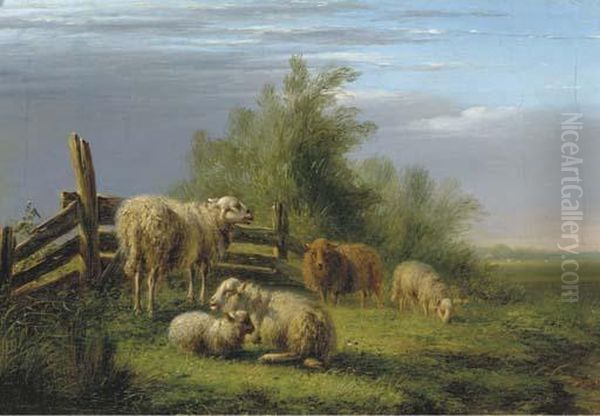 Sheep In A Pasture - view 1