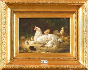 Poule Et Ses Poussins Dans La Paille