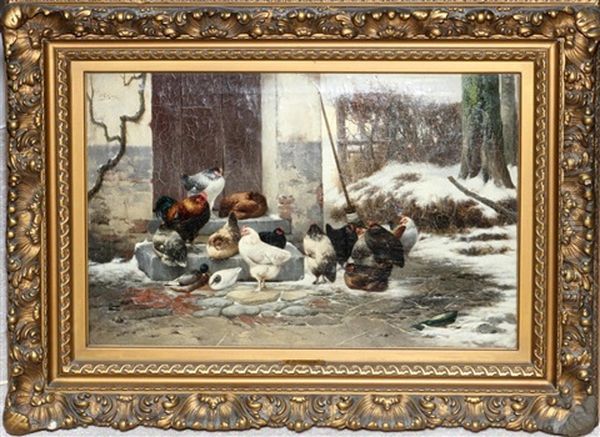 Chickens And Ducks In A Snowy Setting - view 1