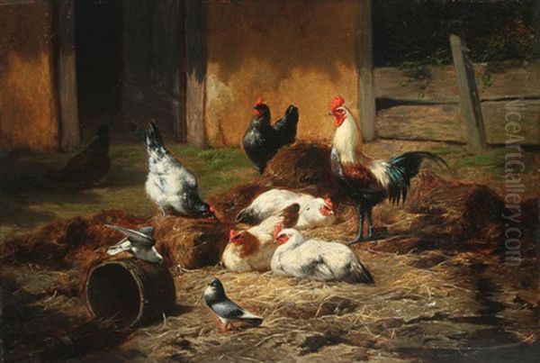 Barnyard With Chickens And Pigeons - view 1