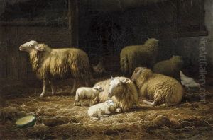 Interieur D'etable Avec Moutons Et Poules Interieur D'etable Avec Moutons Et Poules