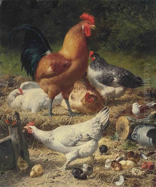Hens And Chickens In A Farmyard - view 1