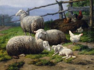 Sheep, Kids & Chickens In A Farm Yard