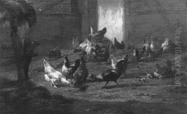 Barnyard Chickens - view 1