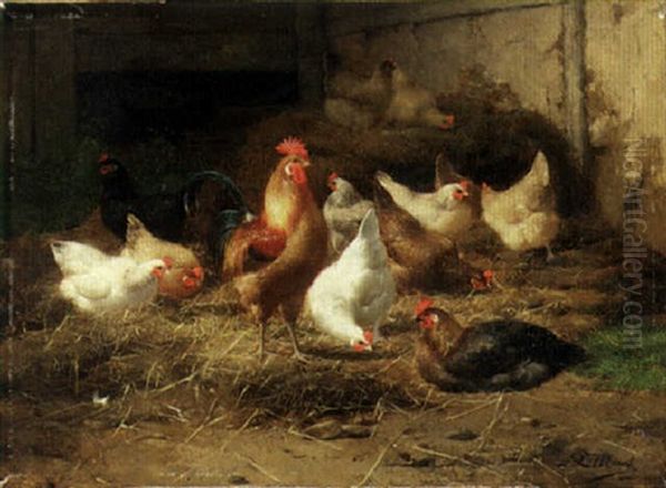 Roosters And Chickens - view 1