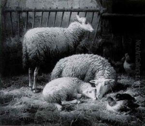 Sheep And Poultry In A Fold