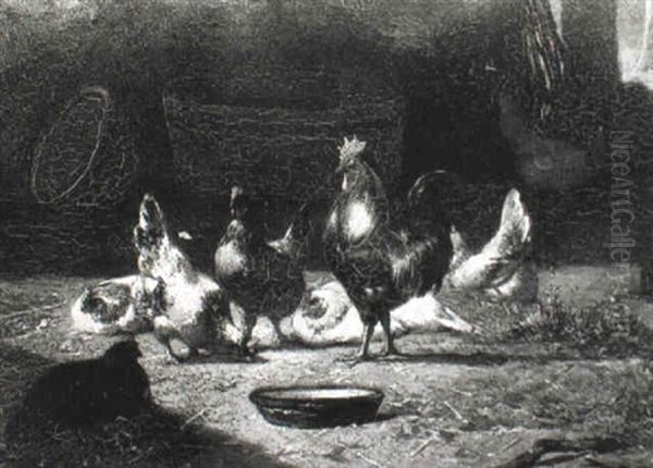Poultry In A Yard - view 1