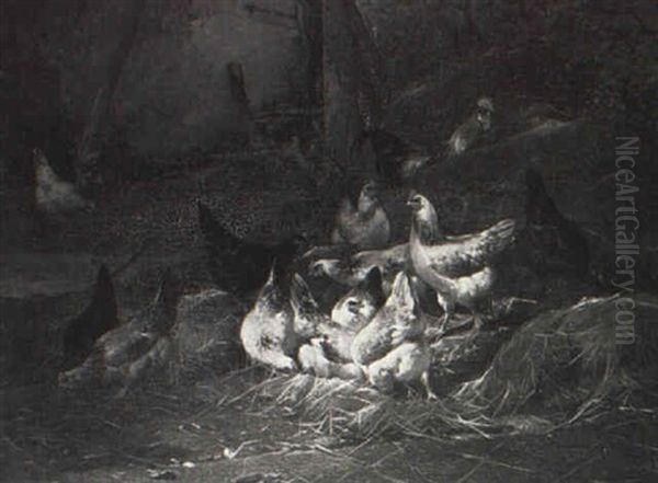 Hens And Rooster - view 1