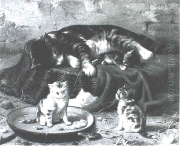 Cat Nap - view 1