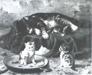 Cat Nap