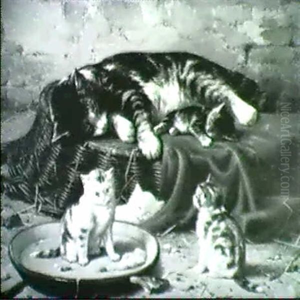 Cat Nap - view 1