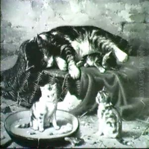 Cat Nap by Eugene Remy Maes
