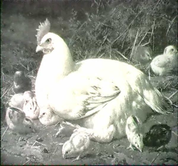 Hen And Chicks - view 1