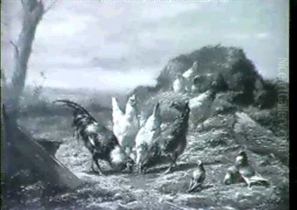 A Cockerel, Hens And Wood Pigeons In A Farmyard - view 1