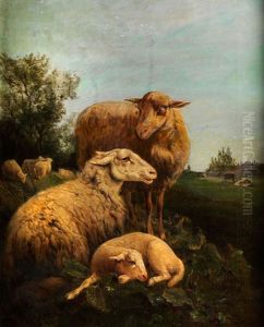Schafe In Landschaft by Jean Baptist Lodewyck (Maes-Canini) Maes