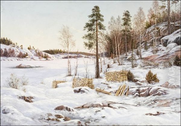 Talvinen Maisema - view 1