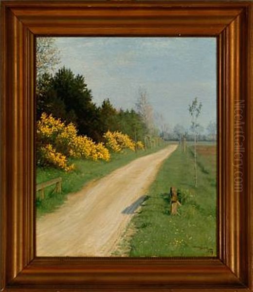 Sunny Landscape With Blooming Flowers By A Country Road - view 1