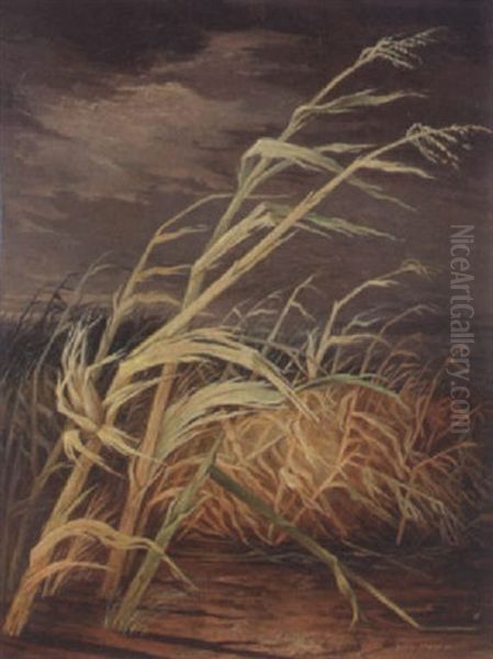 Autumn Wind - view 1