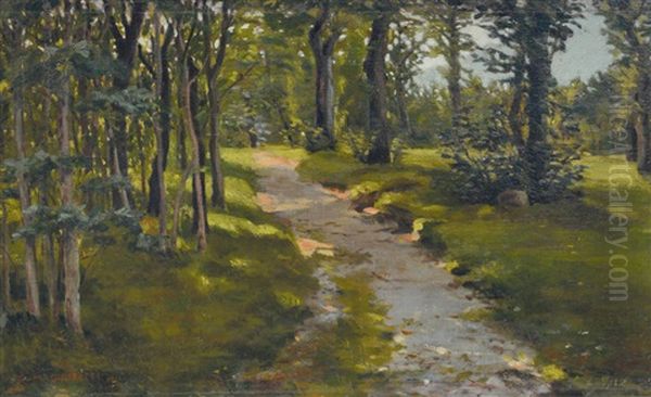 Sentiero Nel Bosco - view 1