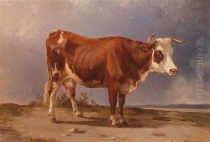 Cow Standing In An Open Landscape by Edmund Mahlknecht