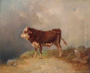 Junger Stier by Edmund Mahlknecht