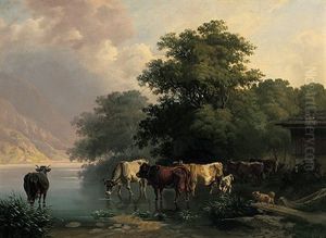 Kuhherde An Der Tranke In Einem Spiegelnden Gebirgssee by Edmund Mahlknecht