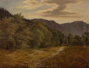 Landschaft Landschaft