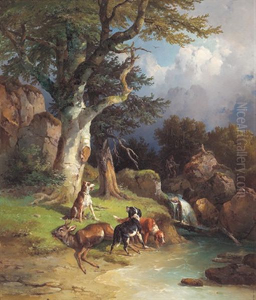 Jagdhunde Bei Einem Erlegten Rehbock - view 1